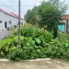 Bán đất đoàn xá