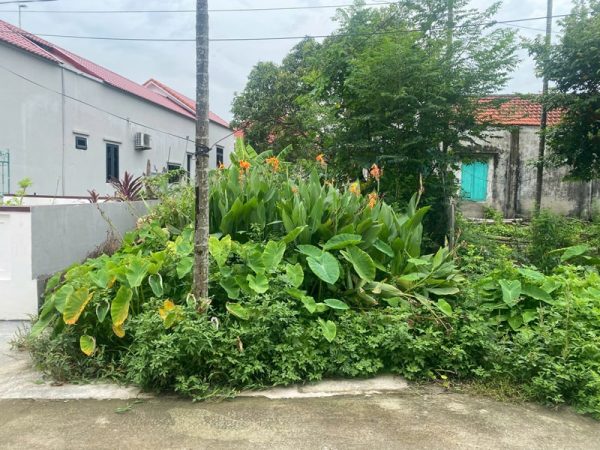 Bán đất đoàn xá